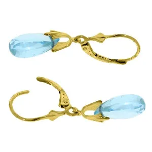 6 Carat 14K Solid Yellow Gold Sanctuary Blue Topaz Earrings