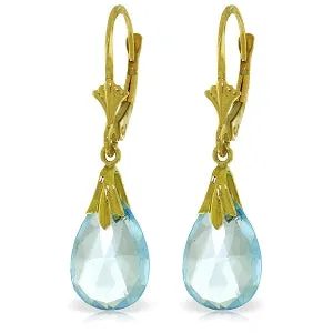 6 Carat 14K Solid Yellow Gold Sanctuary Blue Topaz Earrings