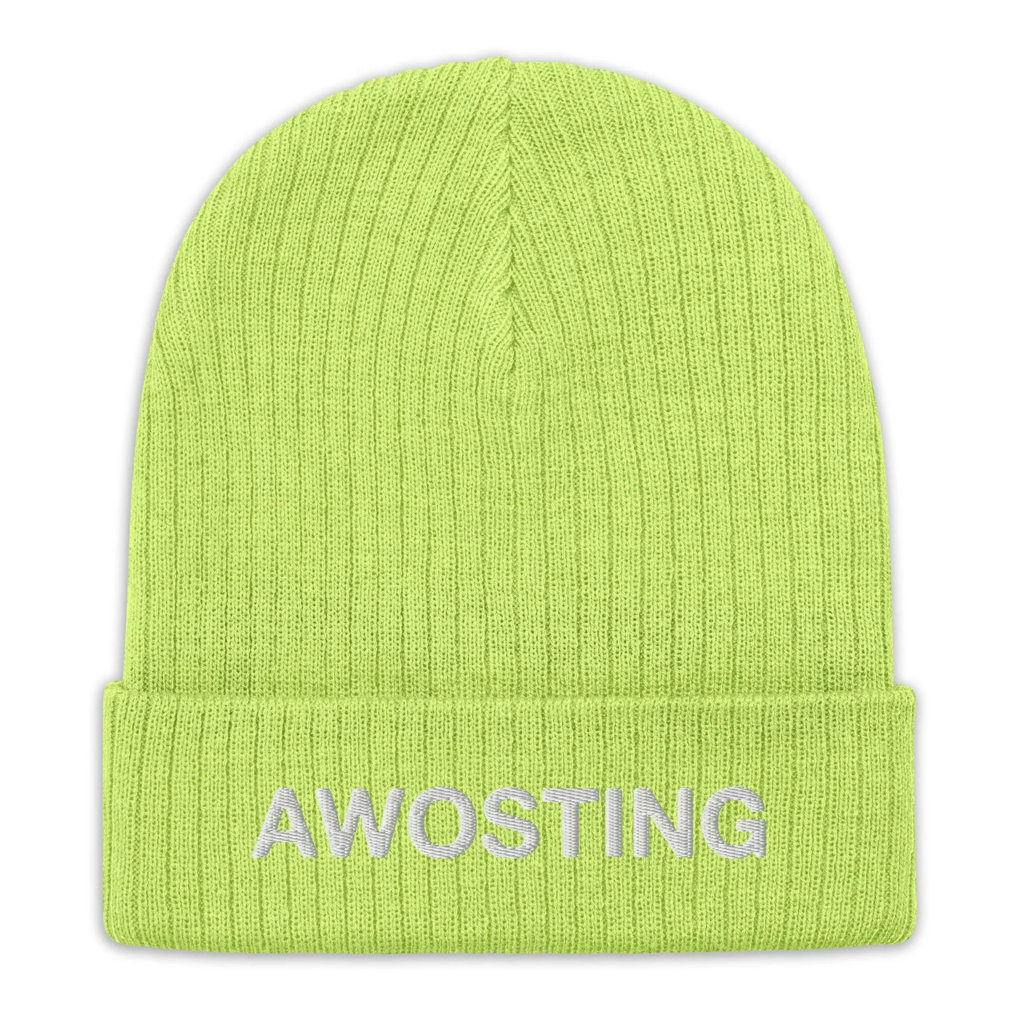 Awosting Embroidered Ribbed Knit Beanie