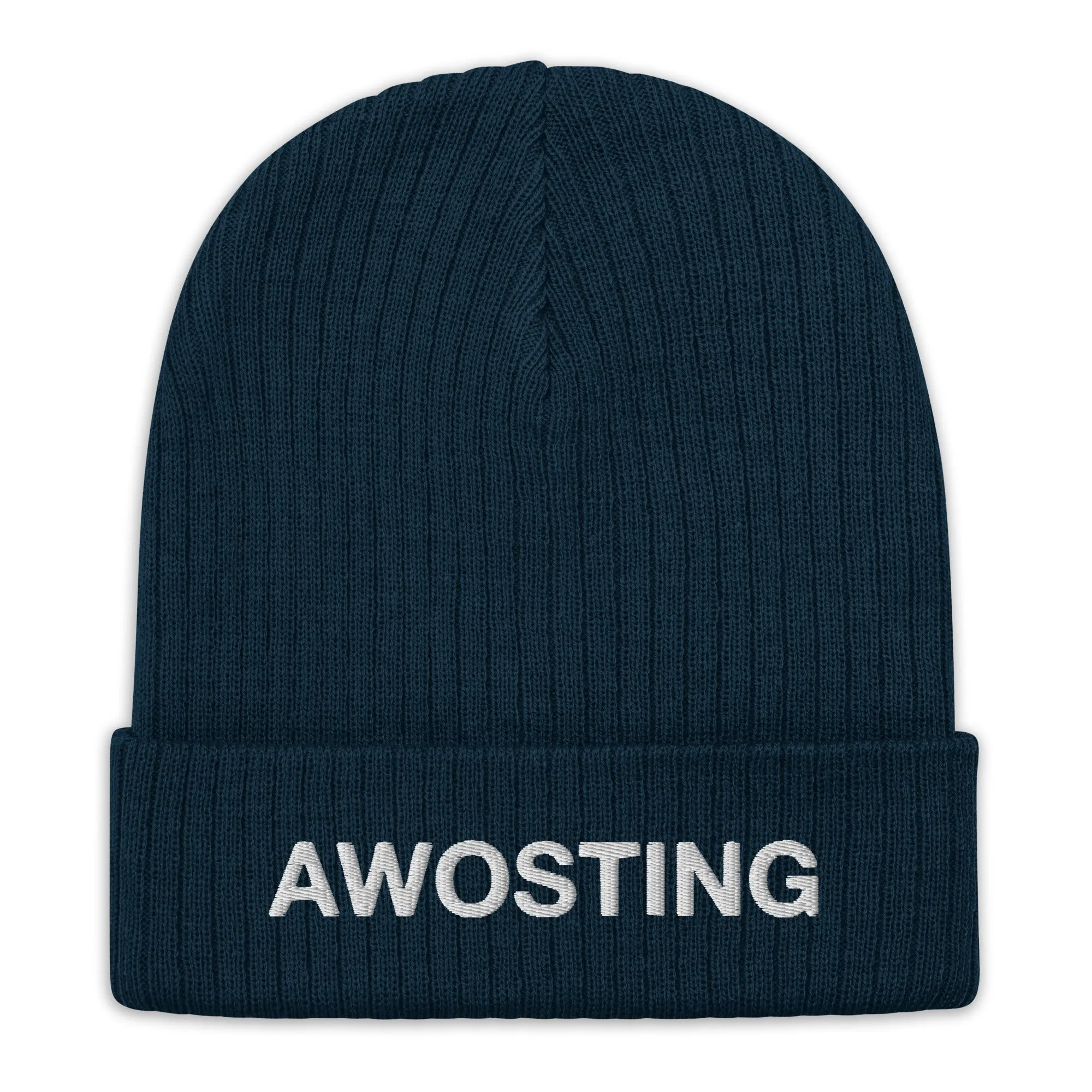 Awosting Embroidered Ribbed Knit Beanie