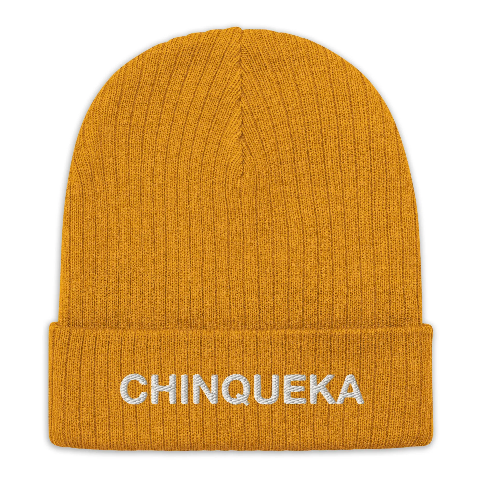 Chinqueka Embroidered Ribbed Knit Beanie