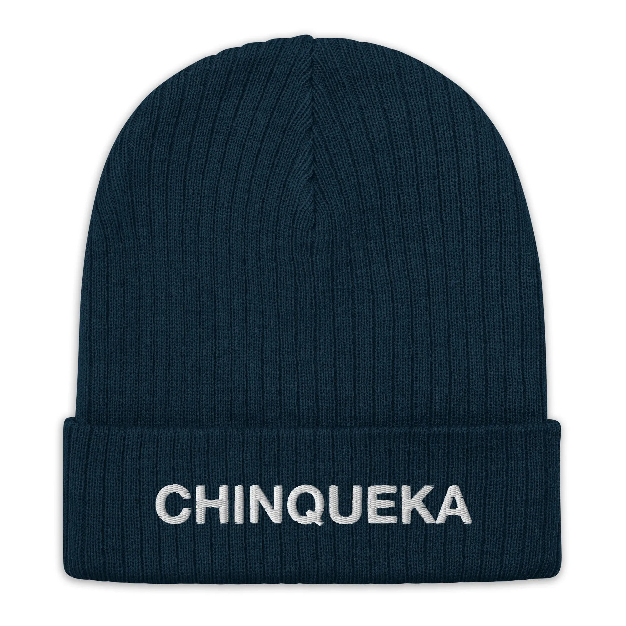 Chinqueka Embroidered Ribbed Knit Beanie