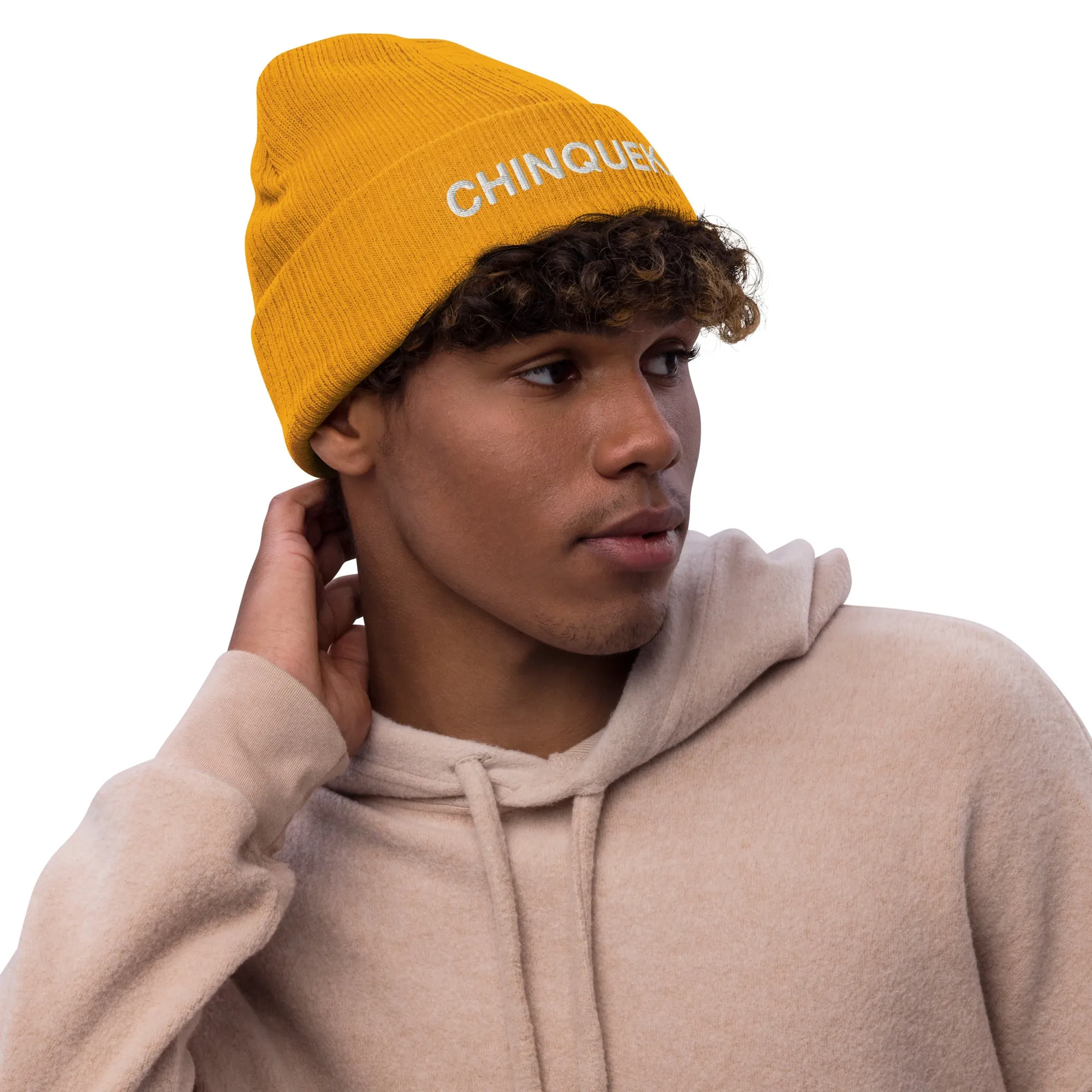 Chinqueka Embroidered Ribbed Knit Beanie