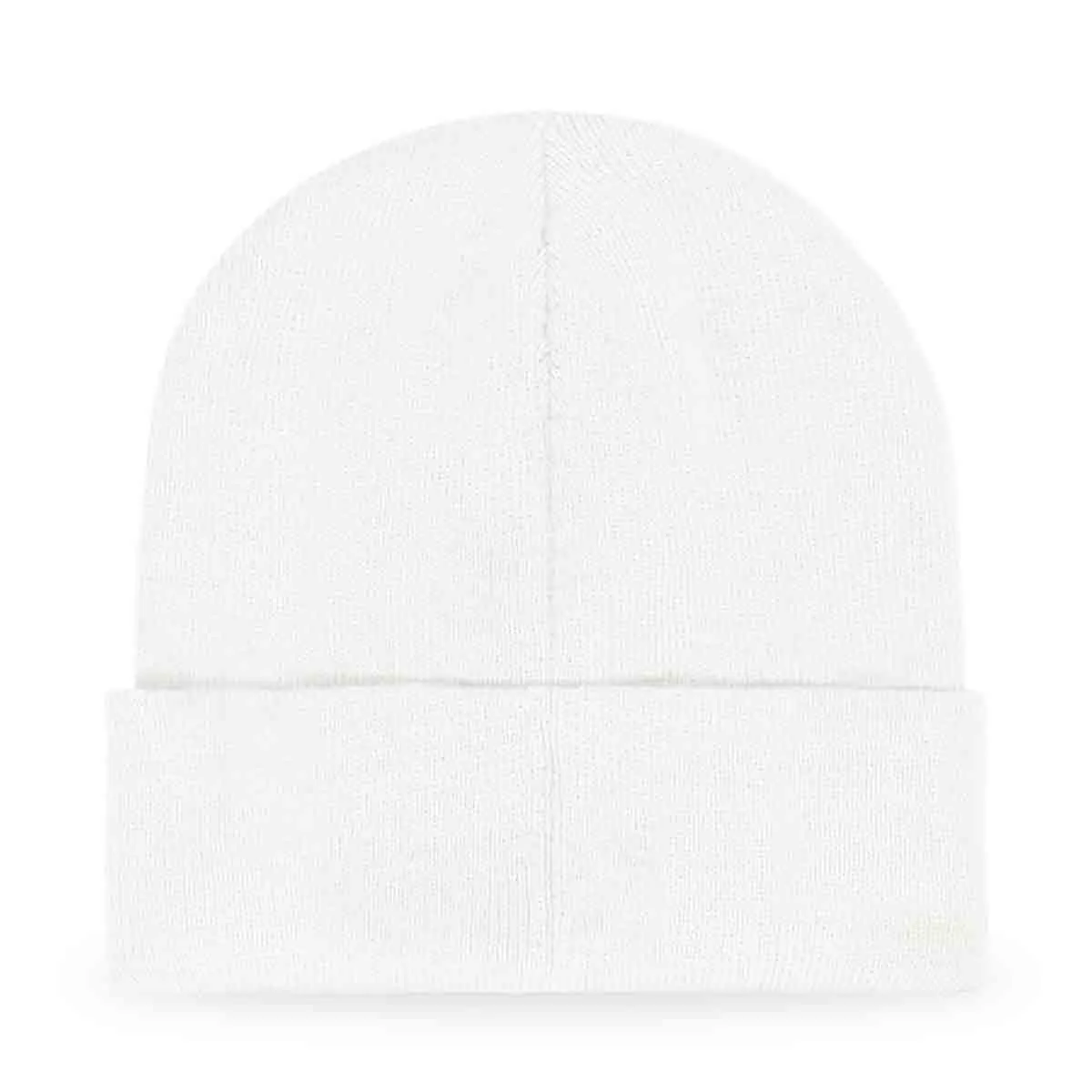 Dalix NASA Worm Logo Beanie