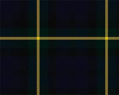 Gordon Modern Light Weight Tartan Scarf