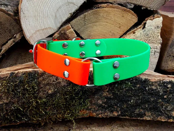 Orange & Green Waterproof Collar