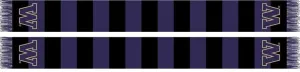 UW HUSKIES SCARF - Bar