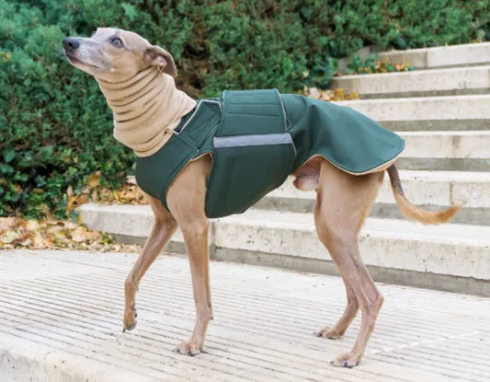 WHIPPET/GREYHOUND SOFTSHELL DOG COAT   NECK WARMER / MADE TO ORDER